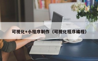 锡林郭勒盟可视化+小程序制作（可视化程序编程）